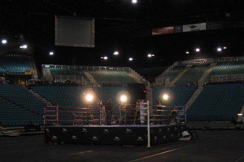Boxing Ring free online multiplayer game — boxing ring under arena lights