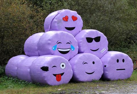 Pile of purple wrapped hay bales decorated with emoji faces, Emoji Guess