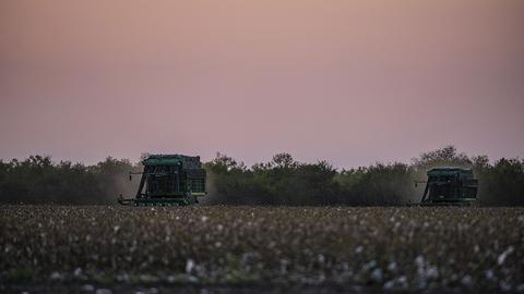 Farmstead free online multiplayer game — harvesters working a field at dusk